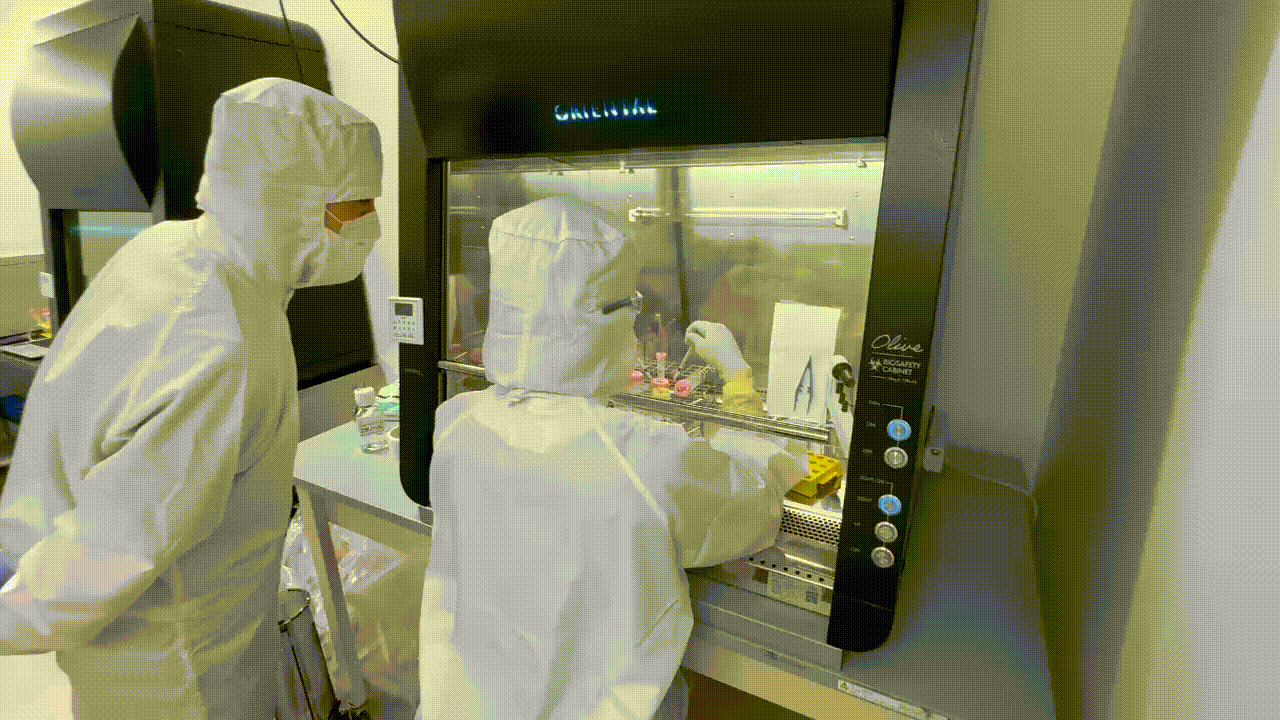 Dokter bekerja di kabinet keselamatan laboratorium